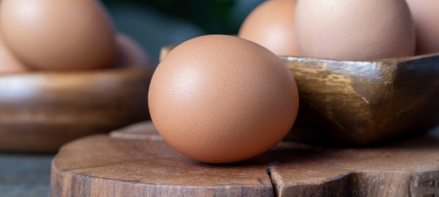 4 Jenis Protein yang Bisa Bantu Turunkan Hipertensi, Apa Saja?